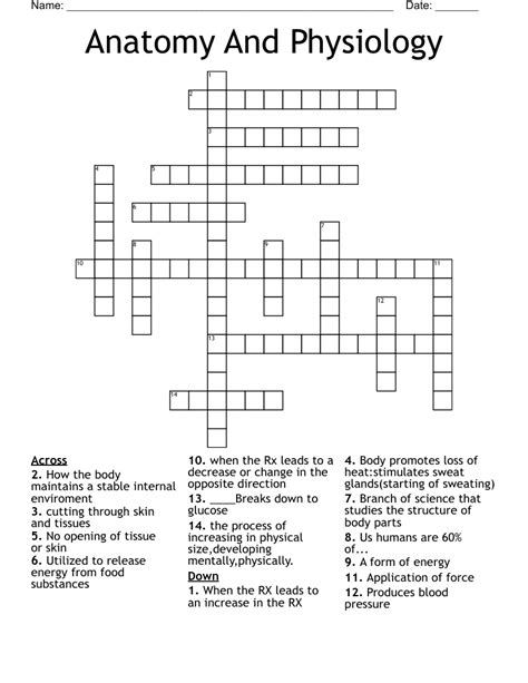 anatomy and physiology crossword